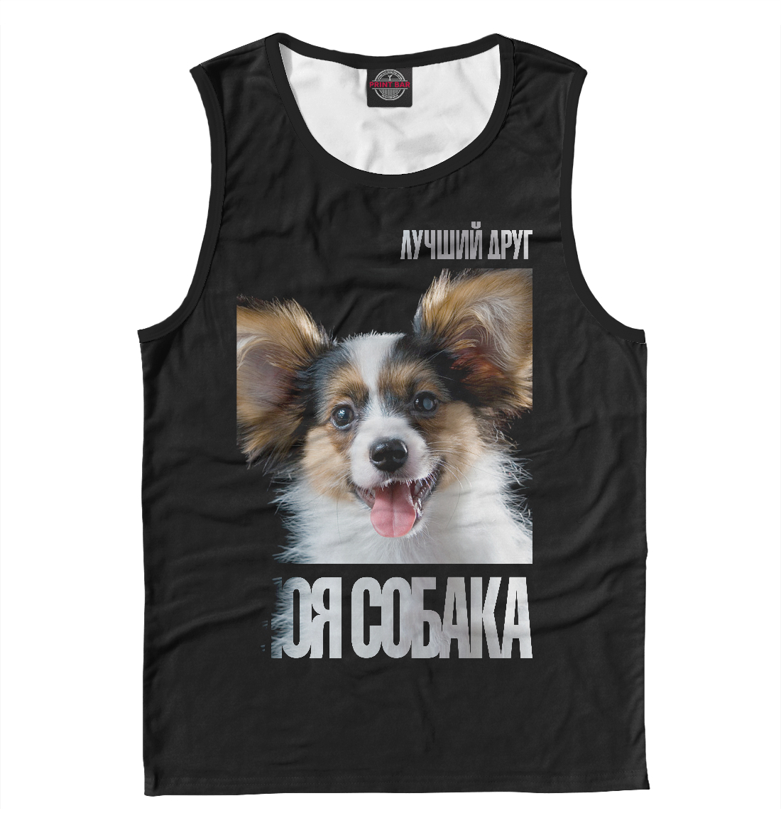 

Папийон