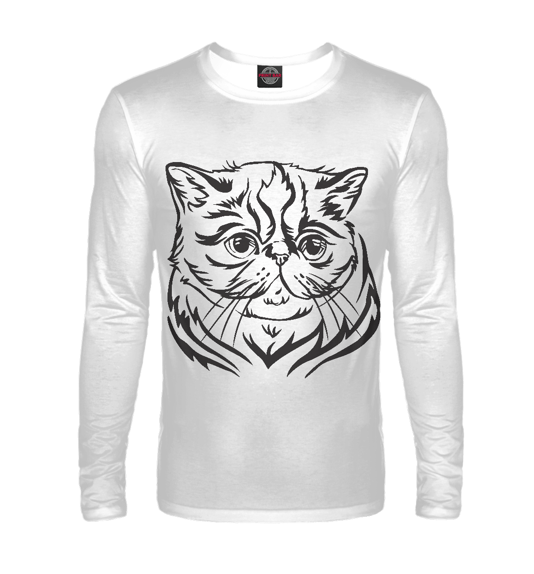 

Экзотическая кошка