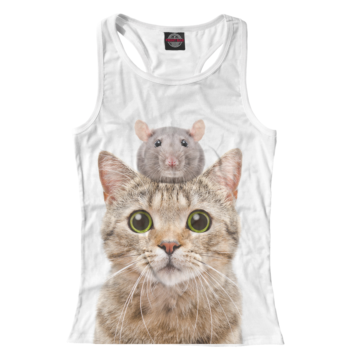 

Котик с крысой