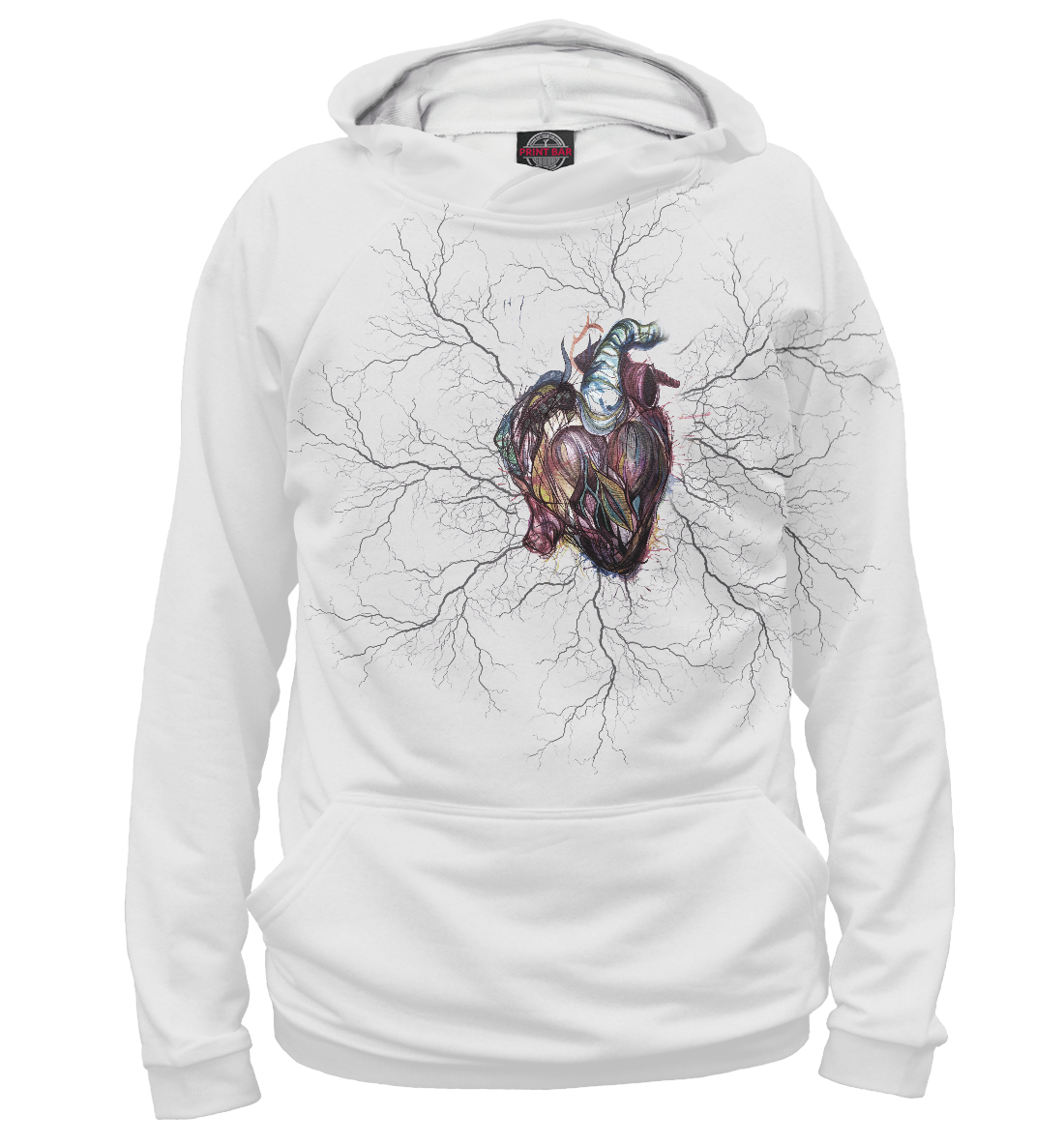 

The Heart