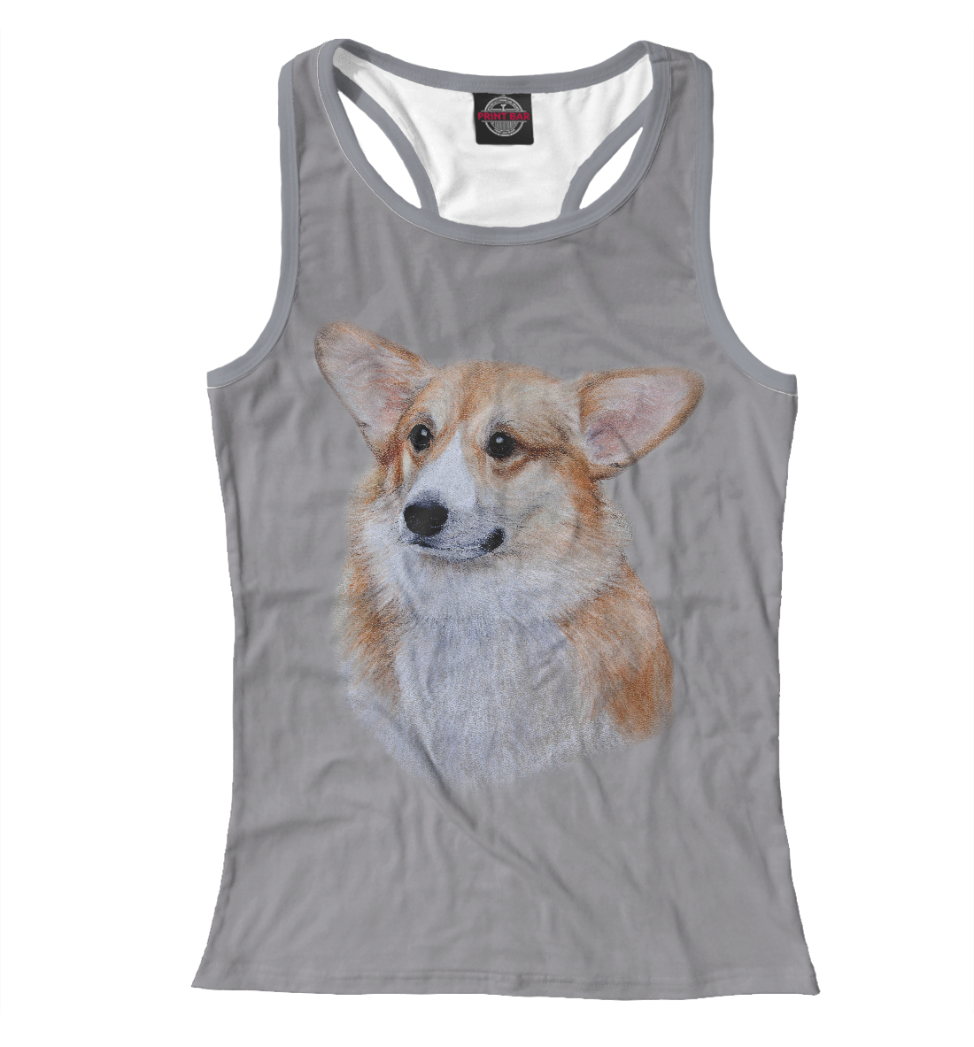 

Corgi dog