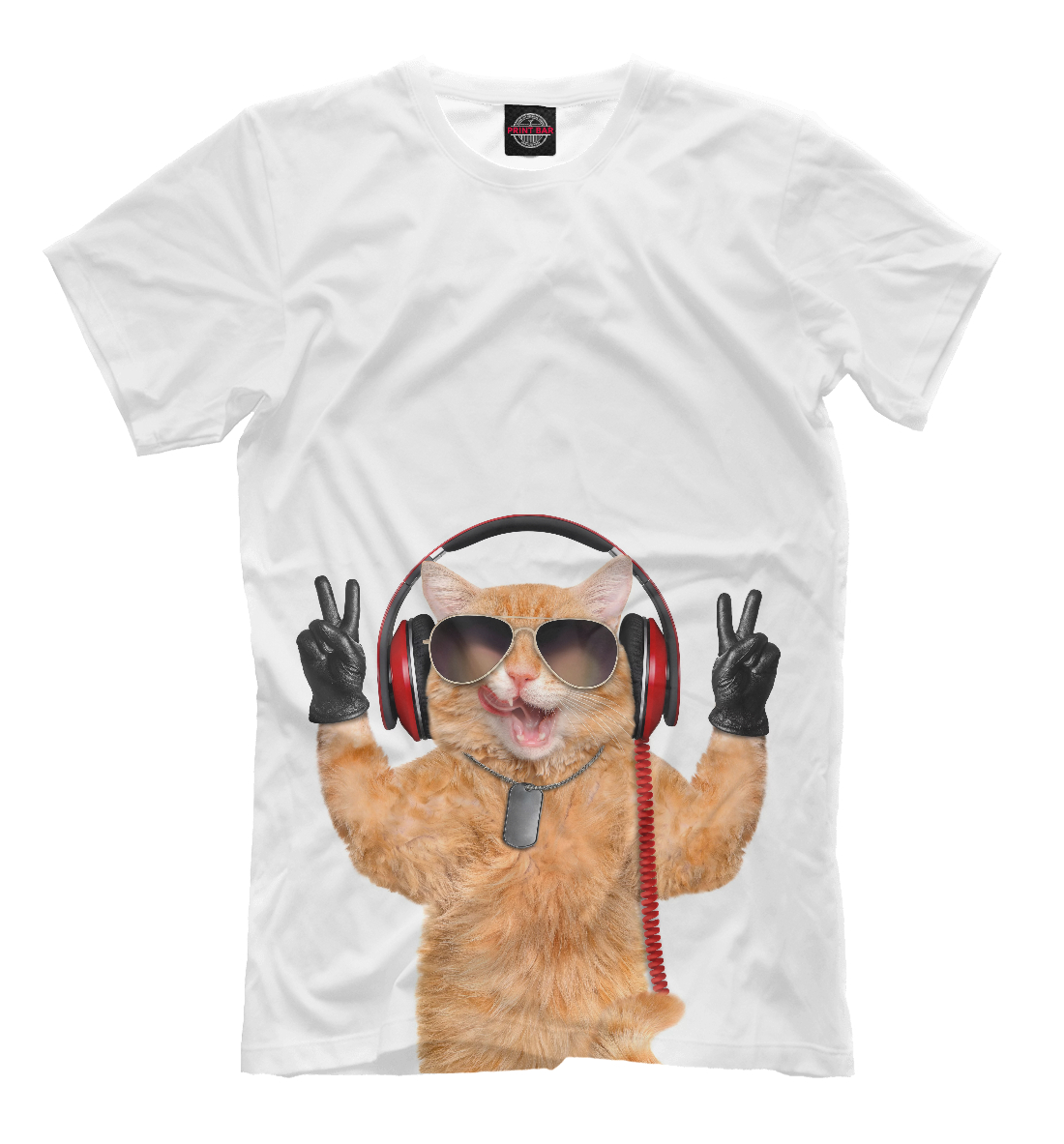 

Кот в наушниках