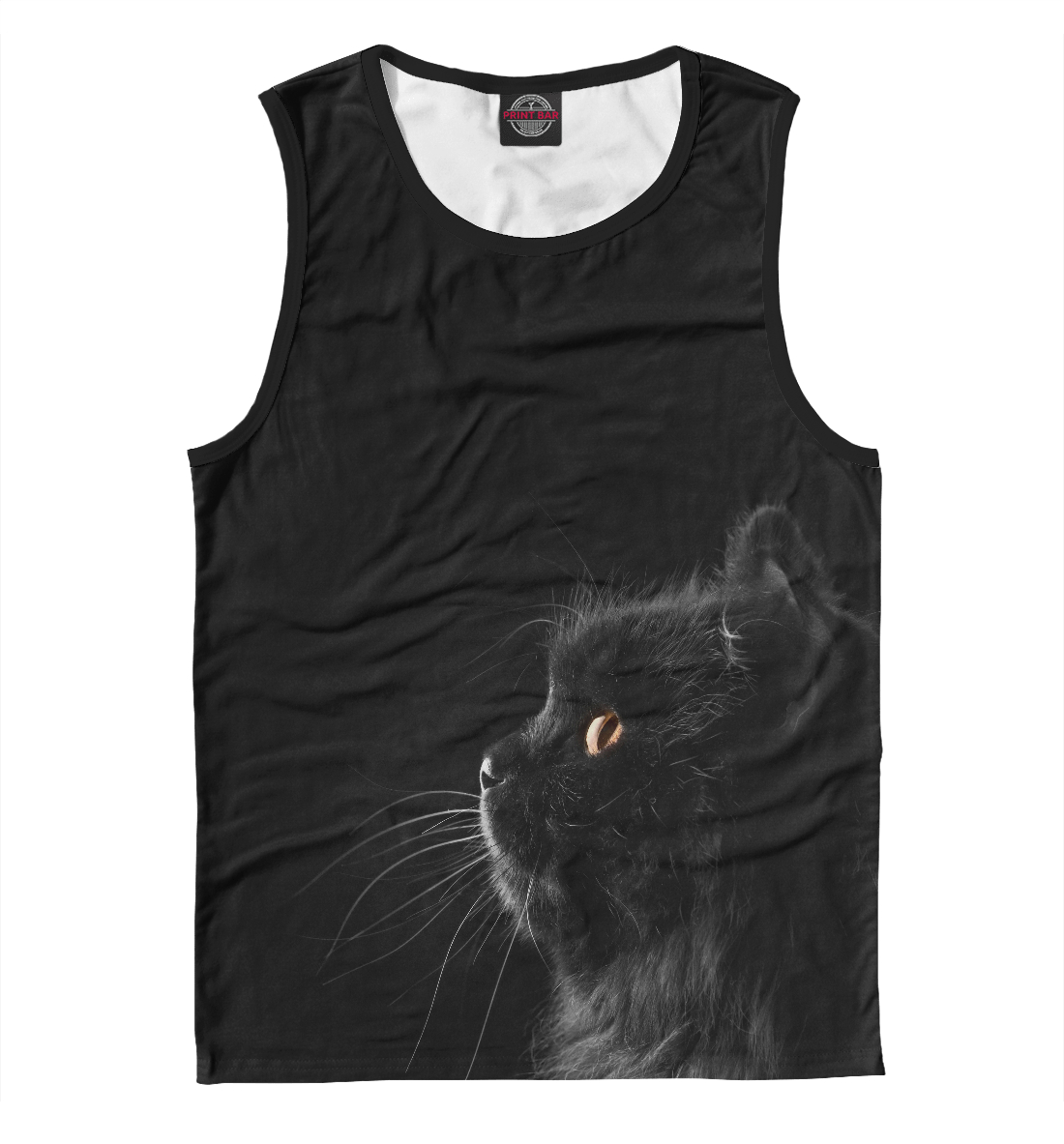 

Черная кошка в черной комнате