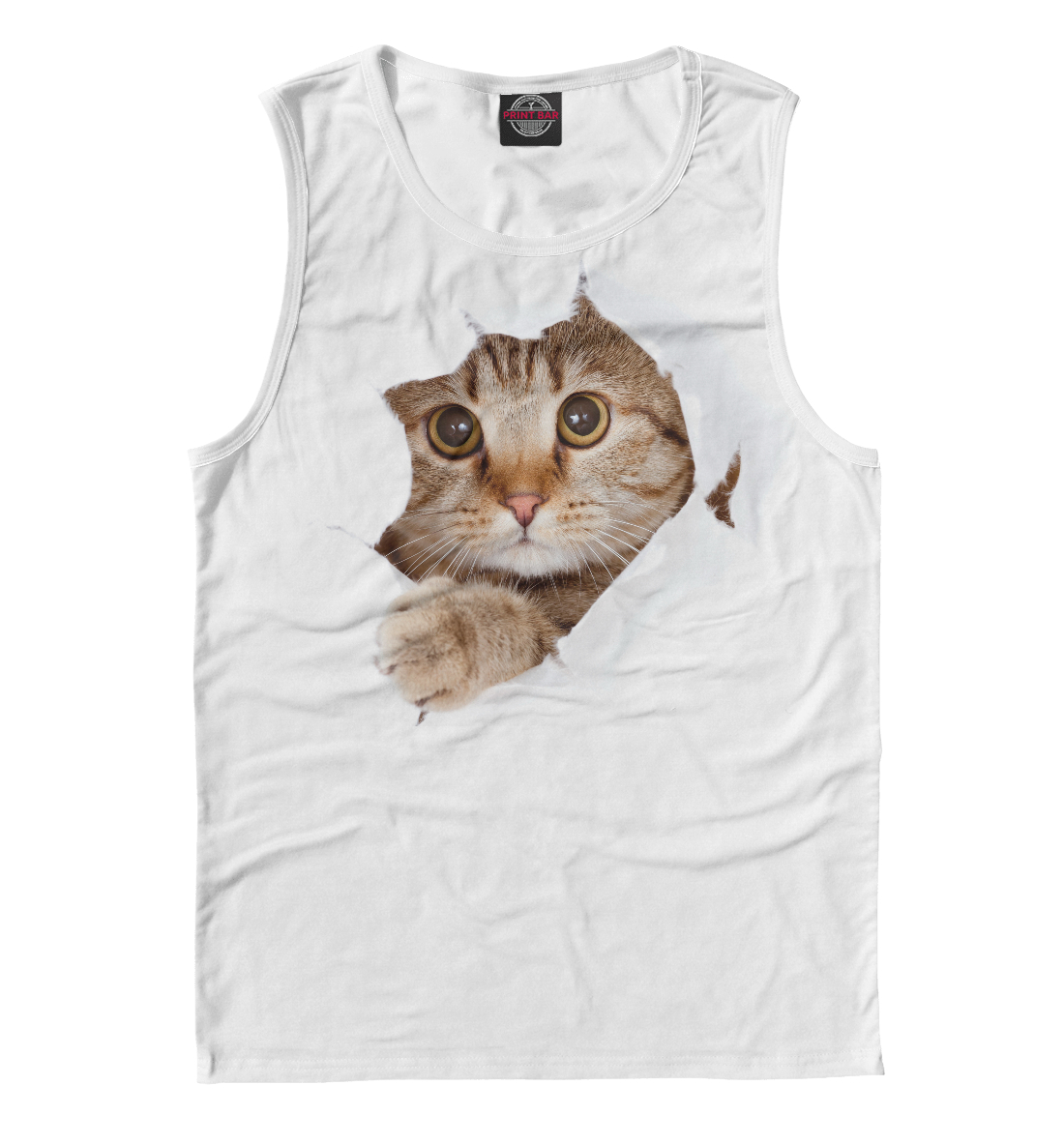 

Котик Мяу