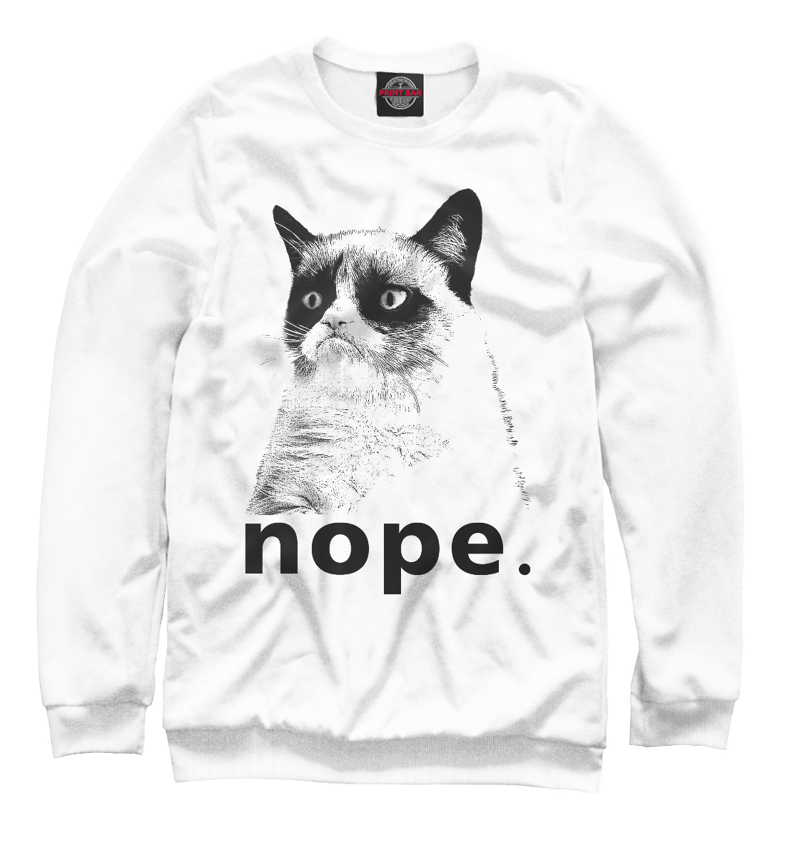 

Angry cat
