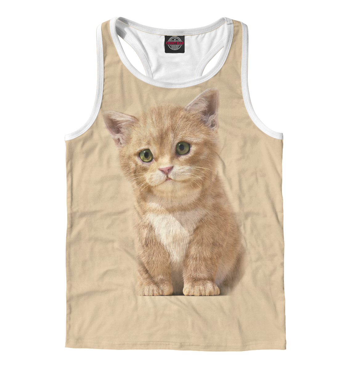 

Котик