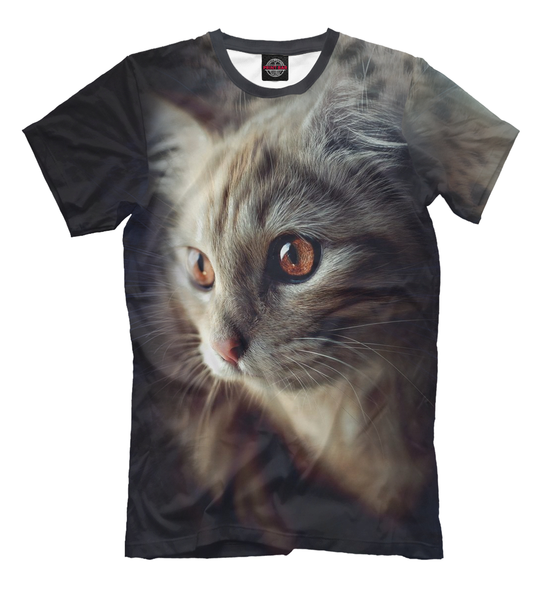 

Классный кот