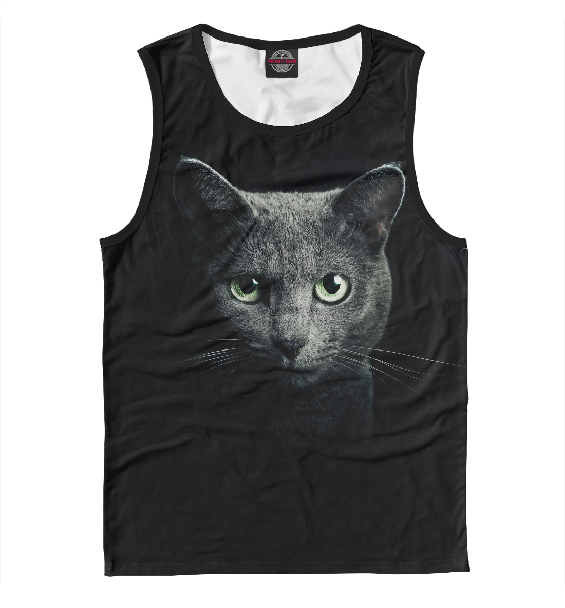 

Котик во тьме