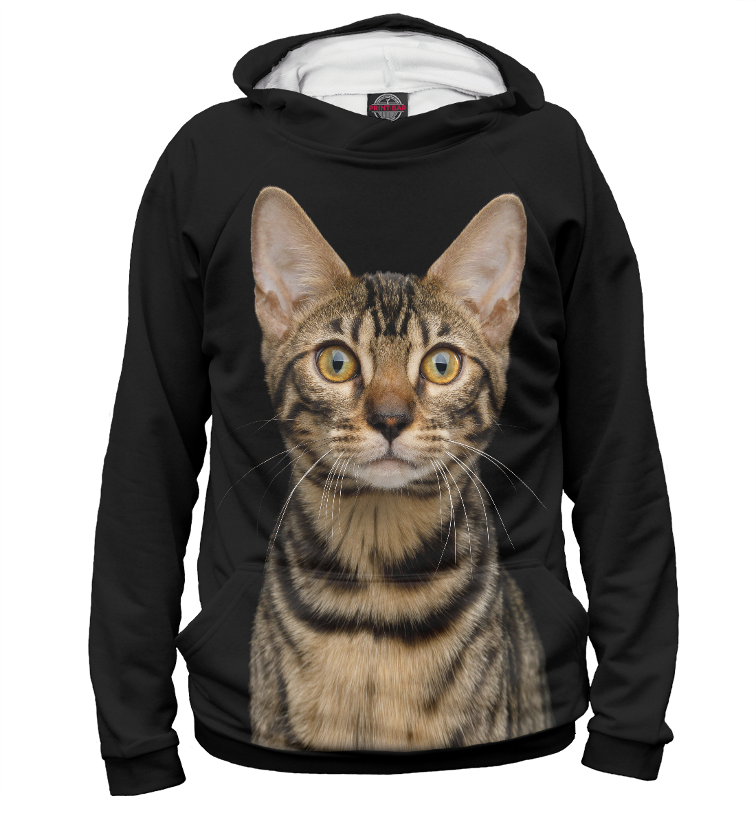 

Бенгальский кот