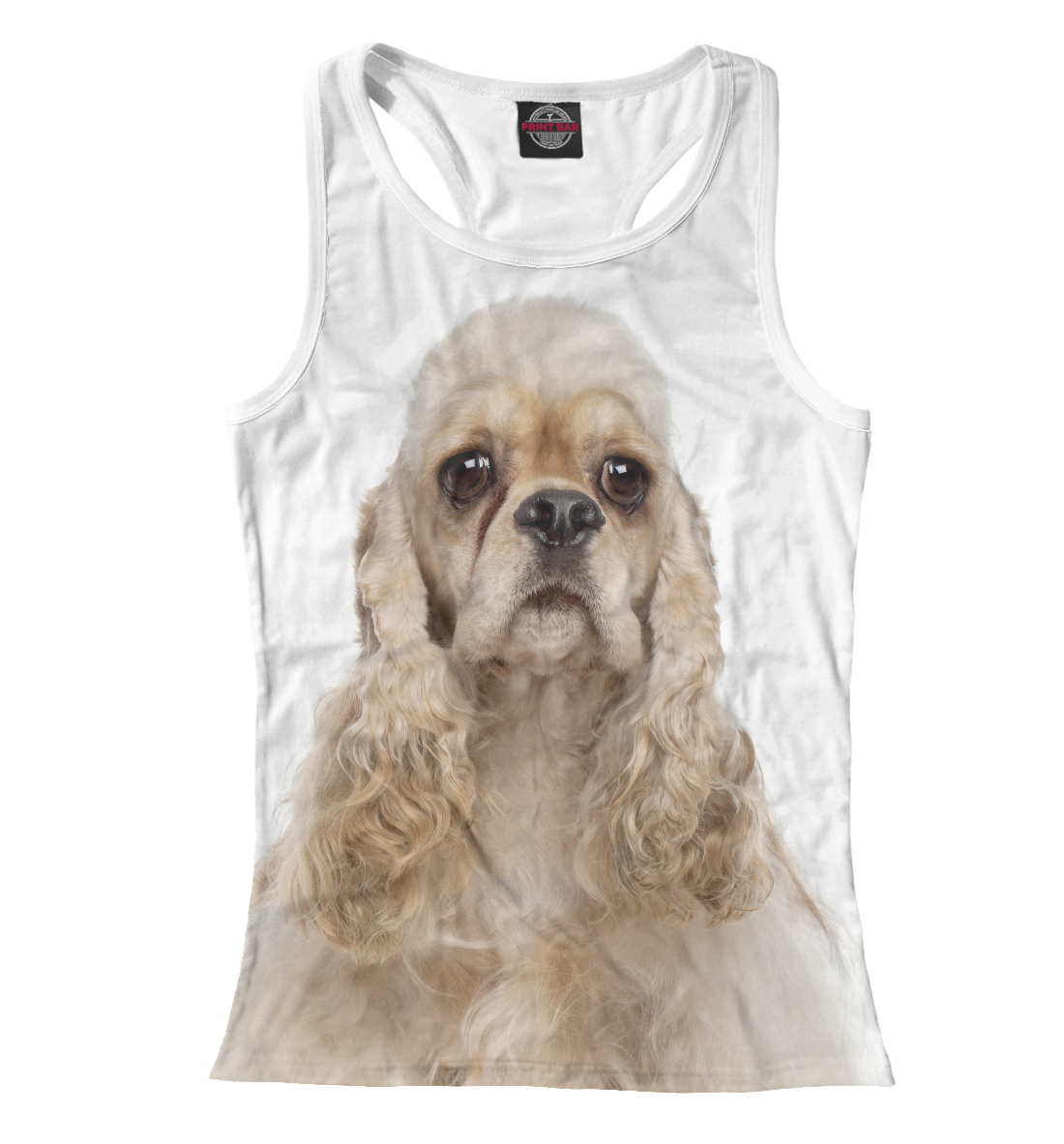 

Американский кокер-спаниель