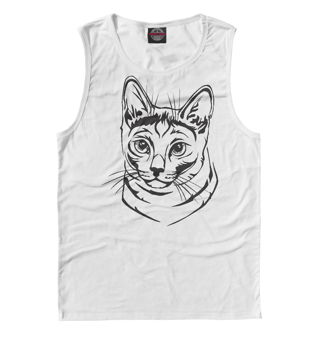 

Русская голубая кошка