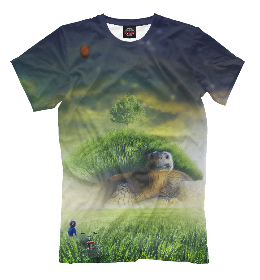 

Turtle and the boy