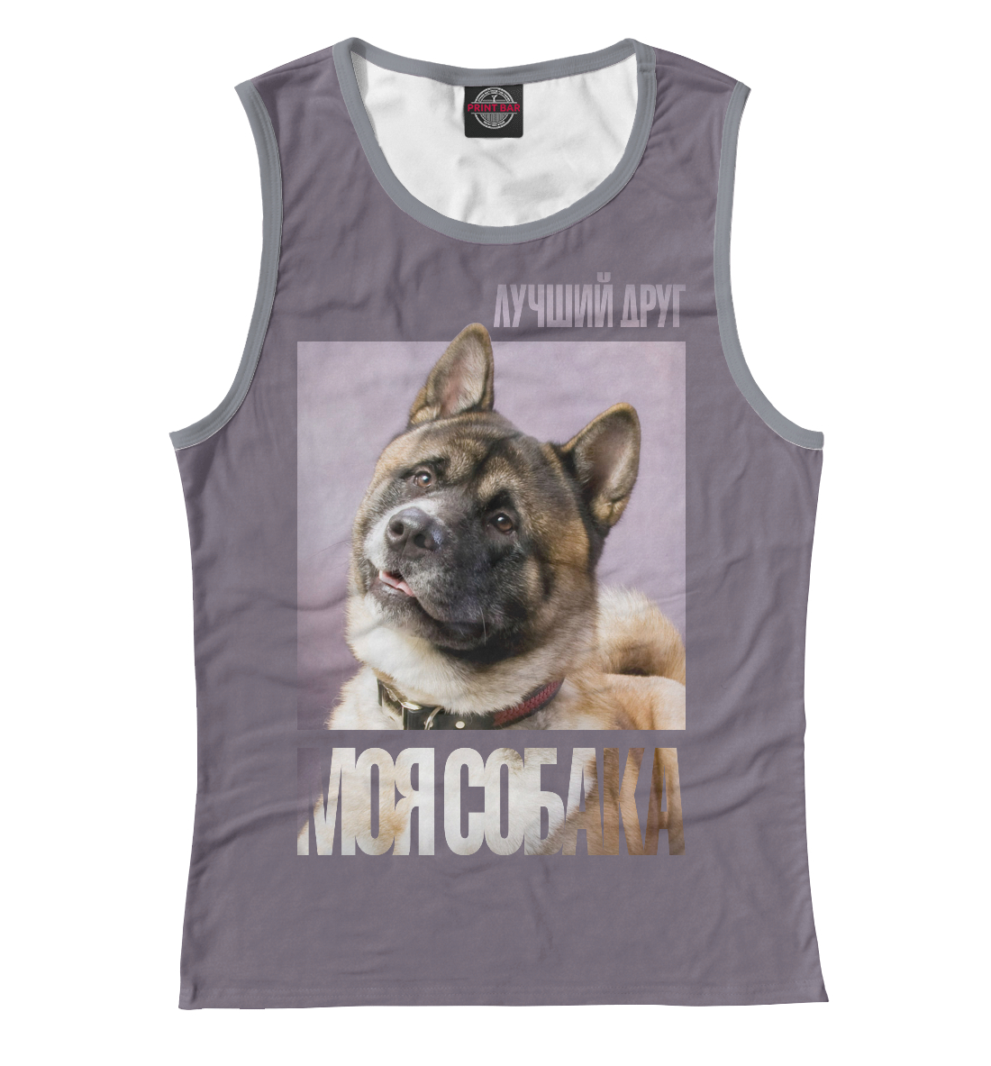 

Американская акита