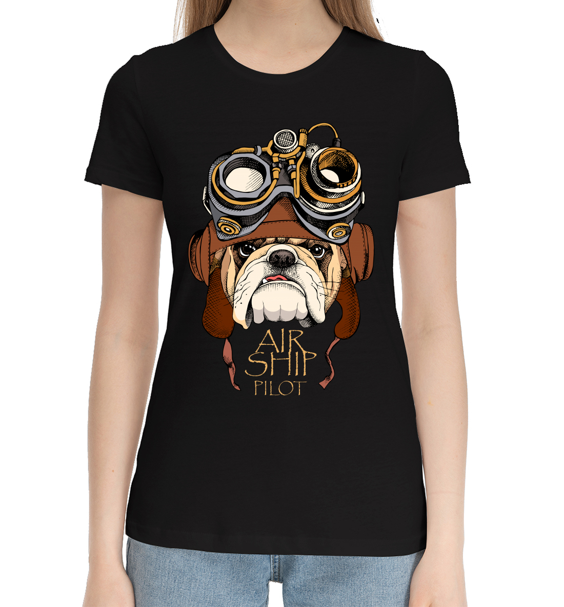 

Air ship pilot