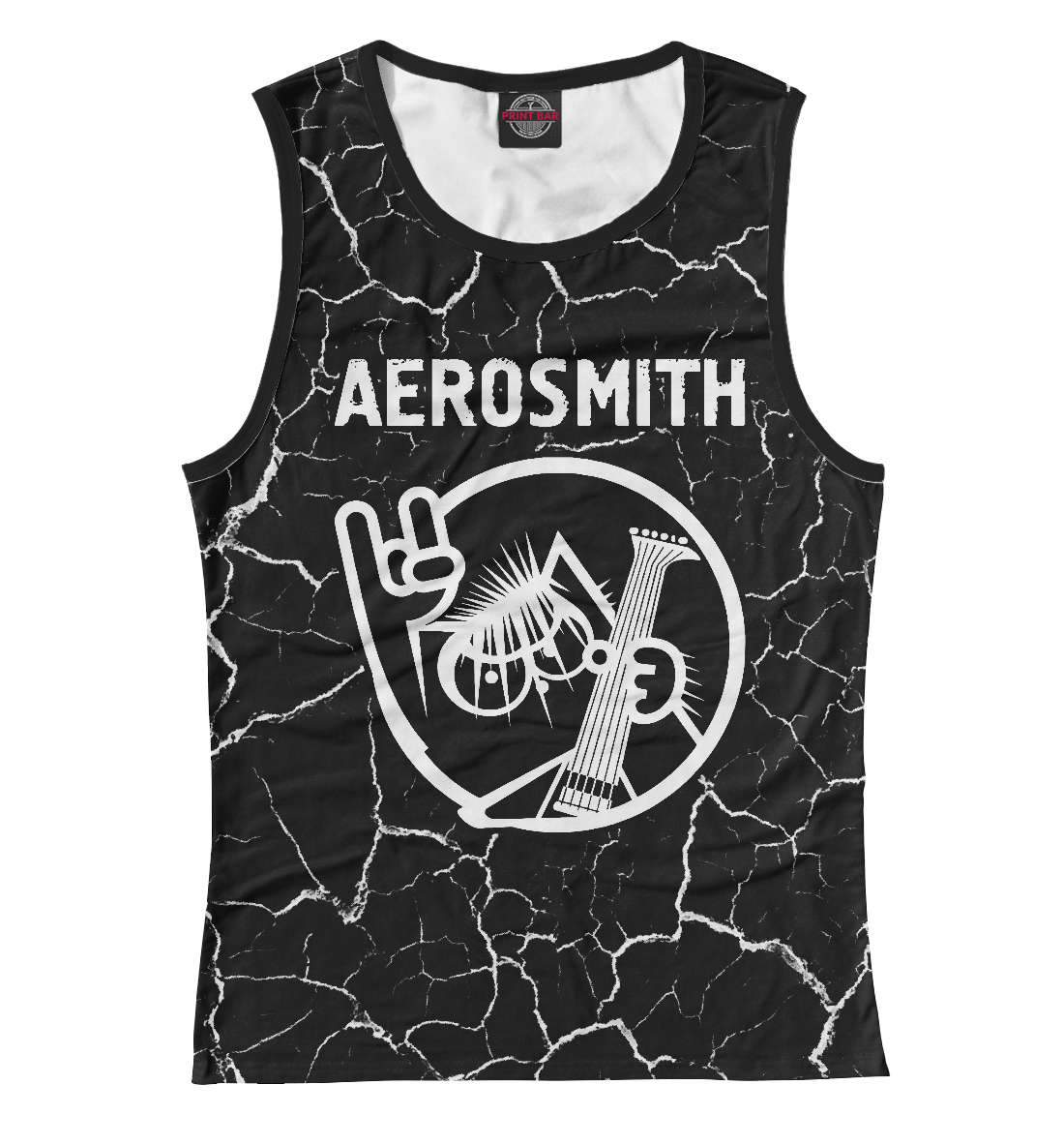 

Aerosmith / Кот