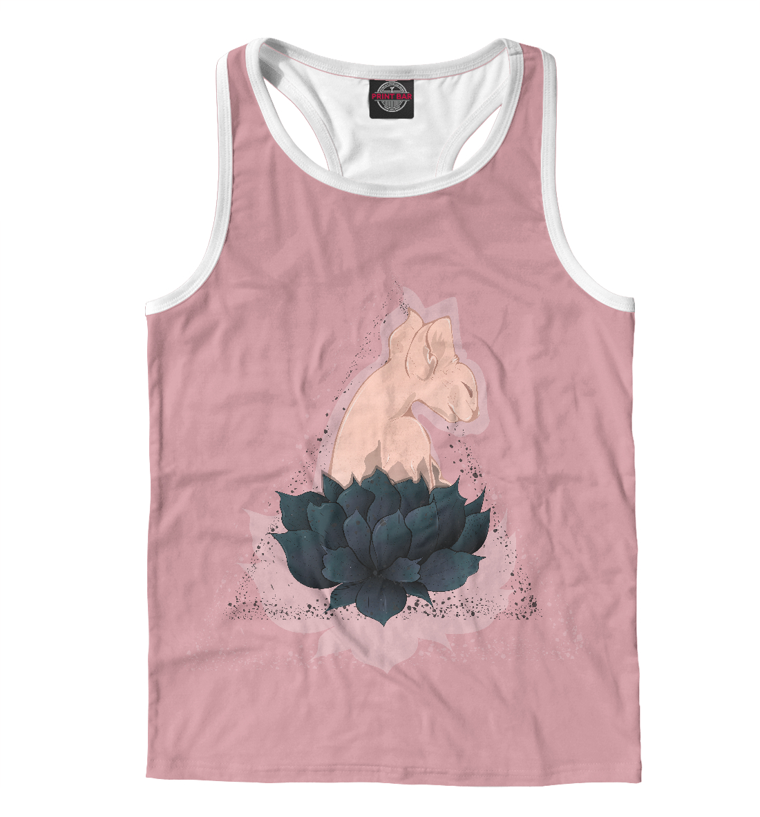 

Сфинкс в цветах