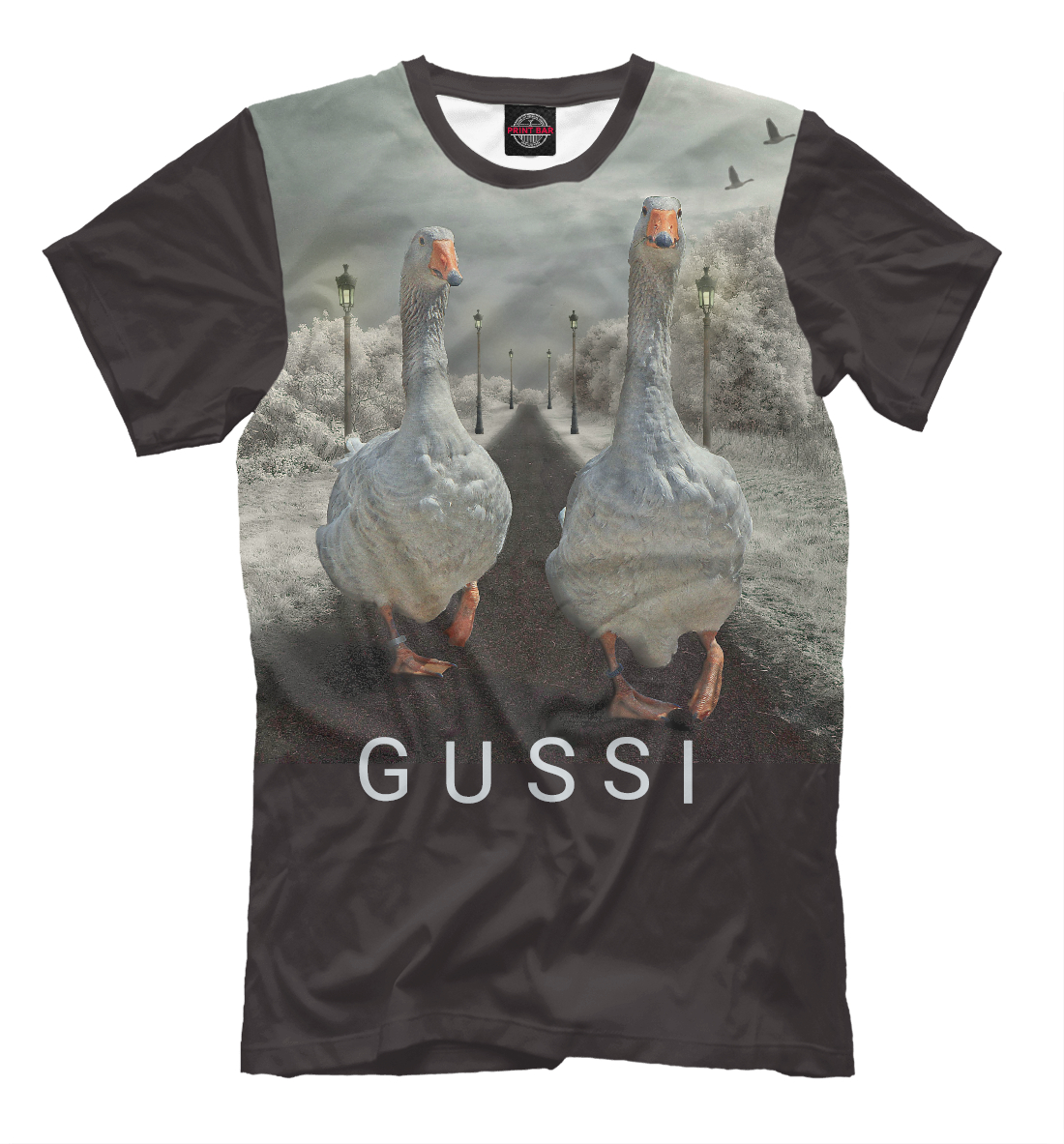 

GUSSI