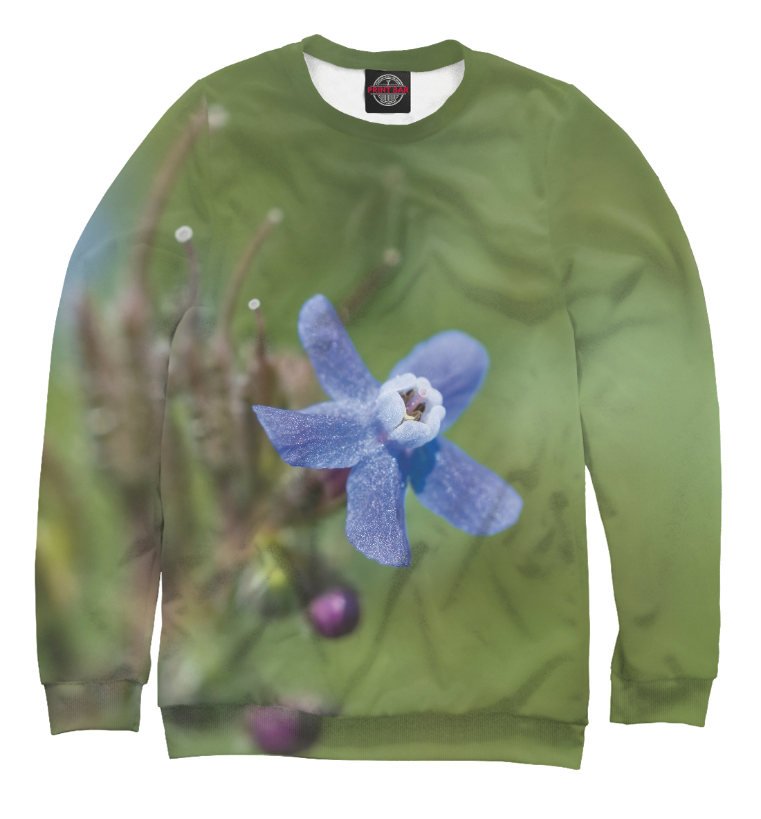 

Цветок незабудка