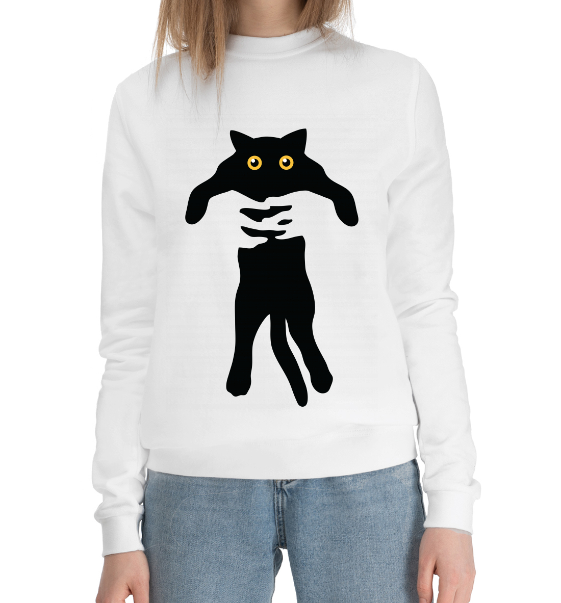 

Кот в руках