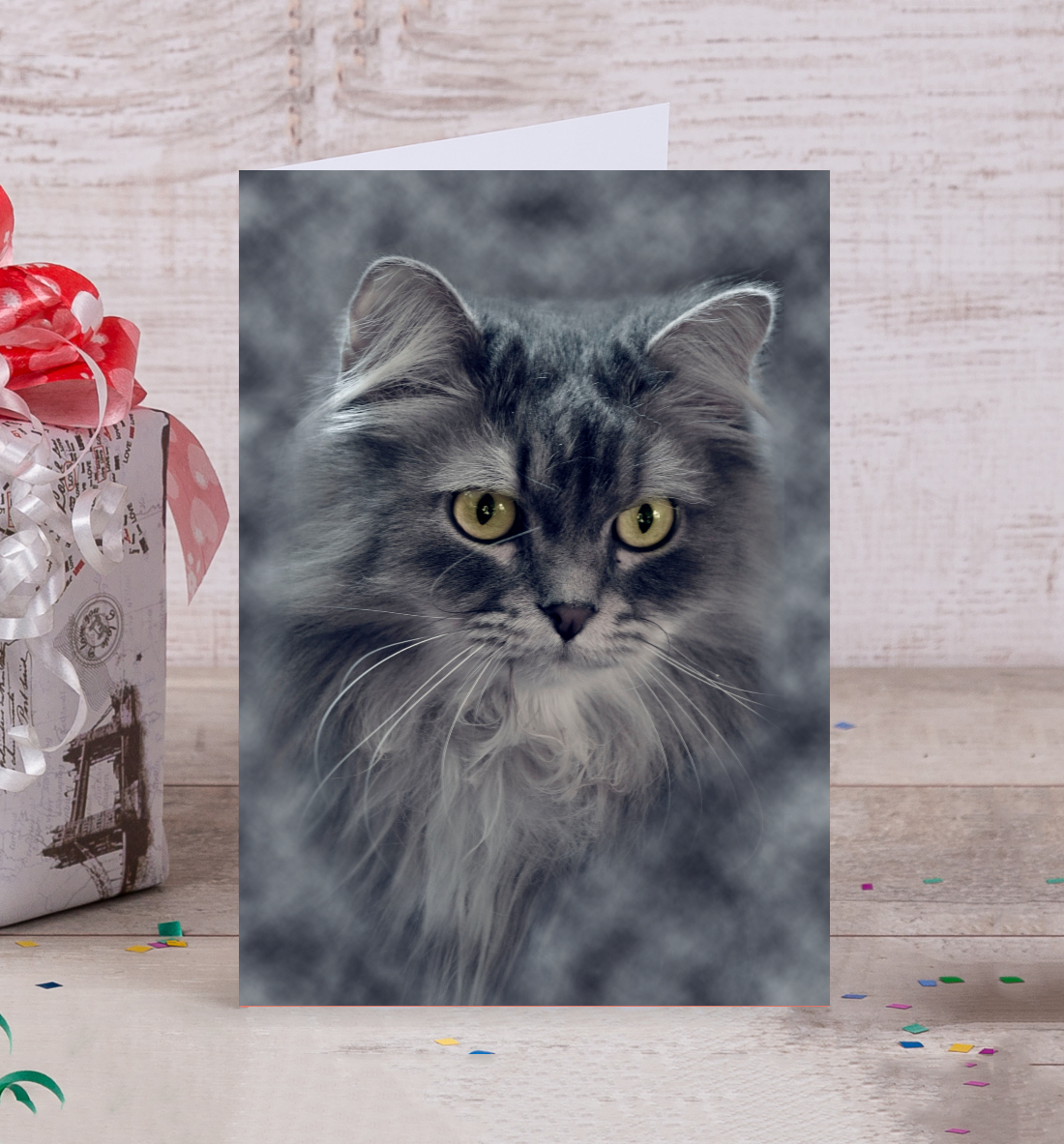 

Котик