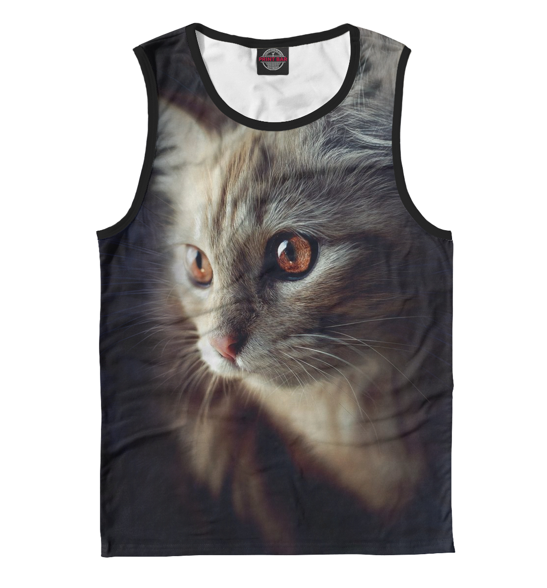 

Классный кот