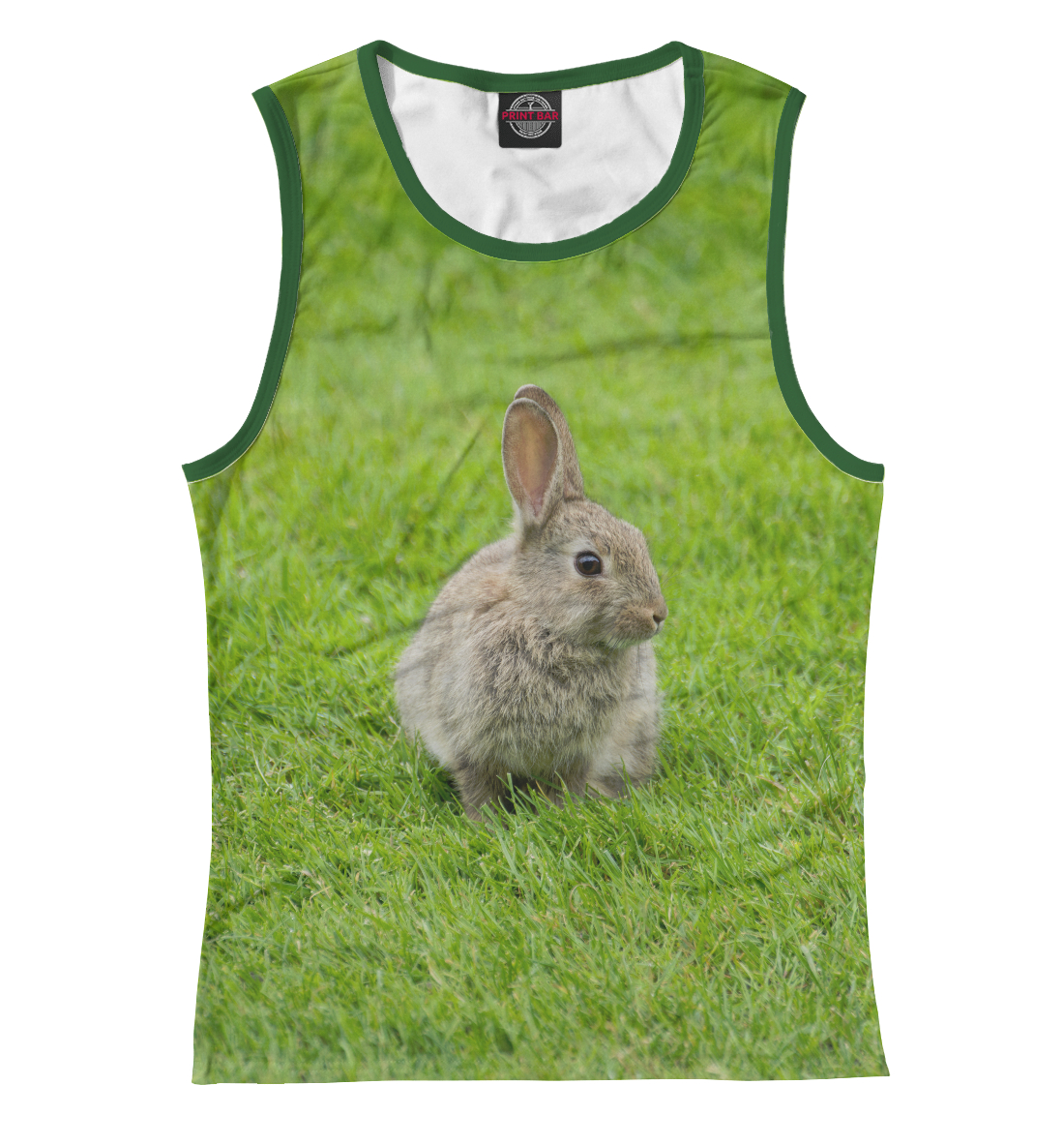 Кролик на поляне