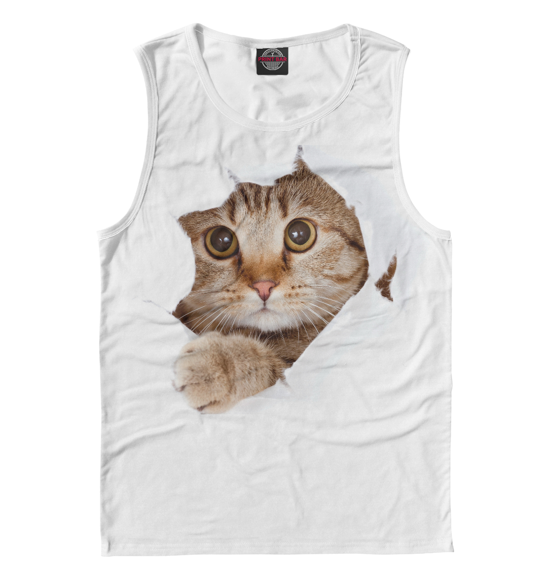 

Котик