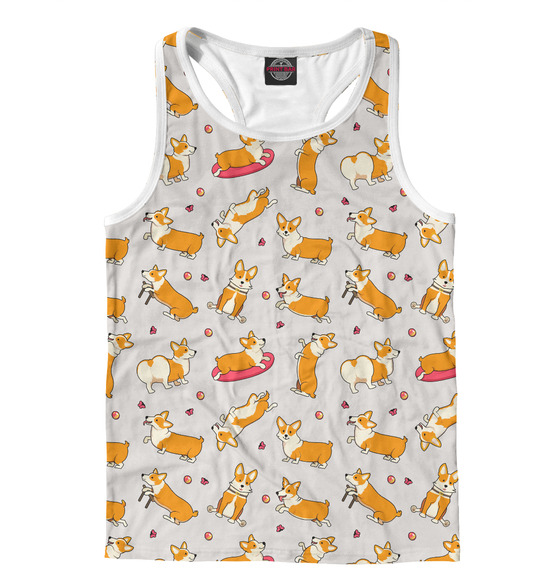 

Funny corgi