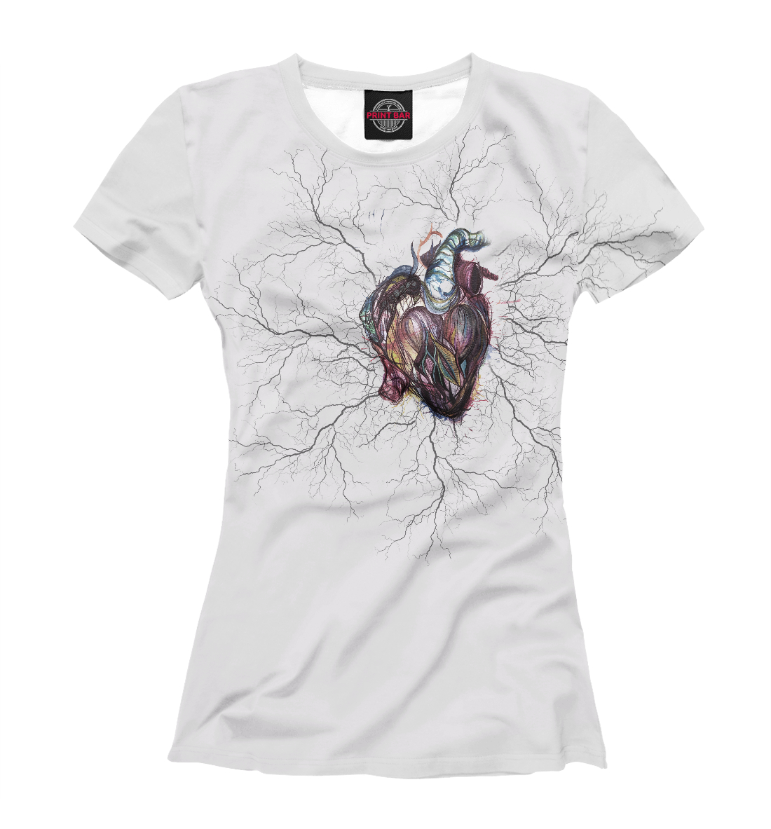 

The Heart