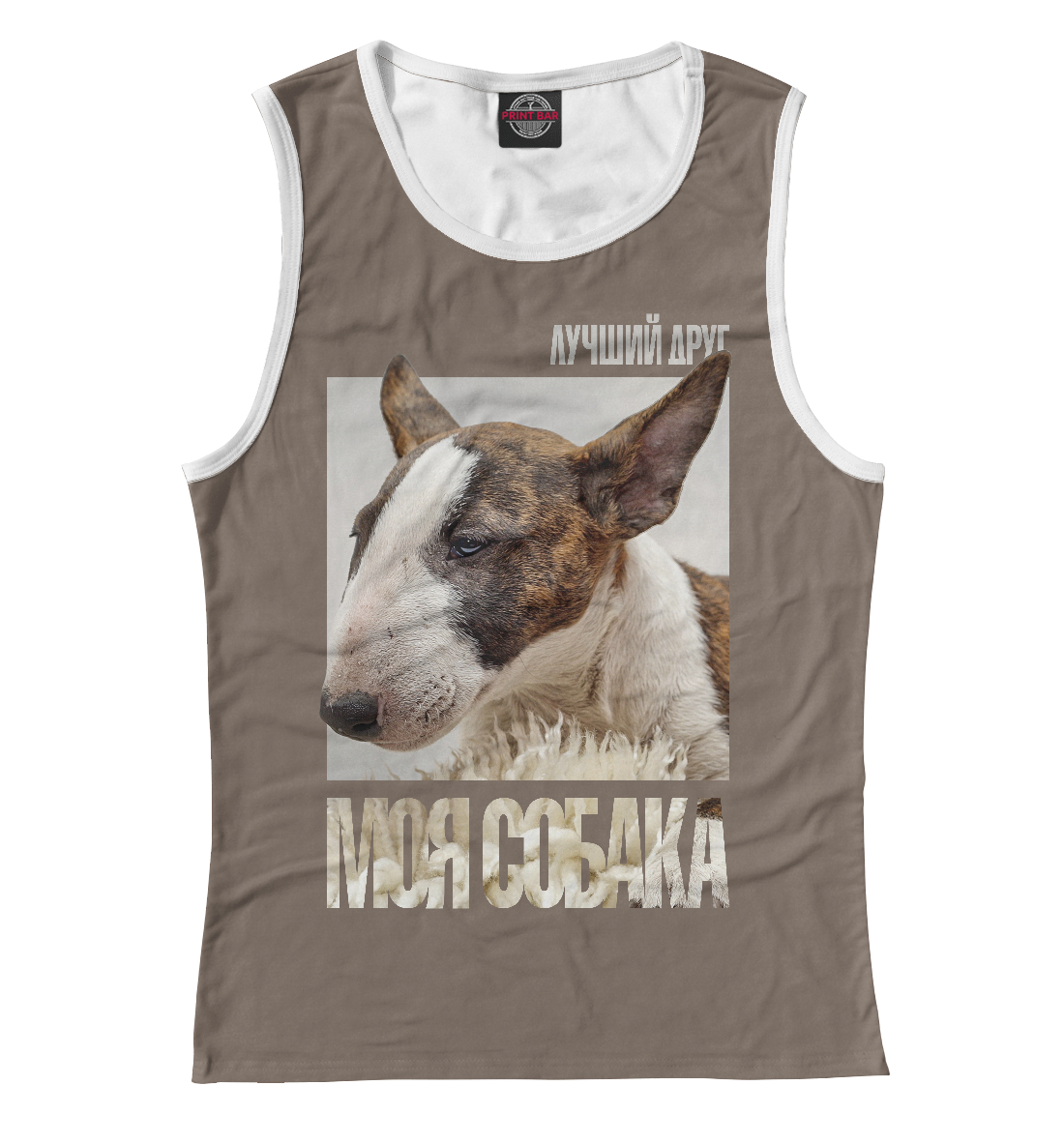 

Бультерьер