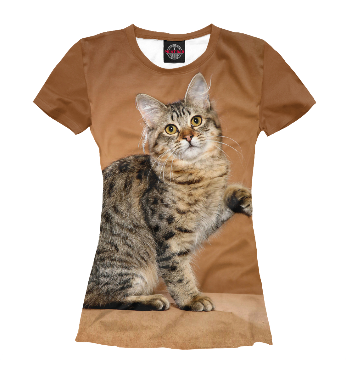 

Леопардовый кот