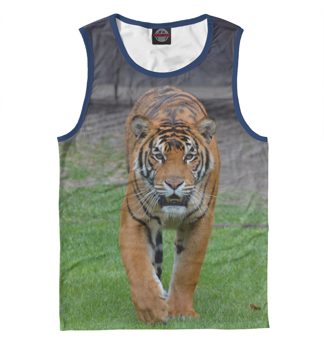 

Tiger