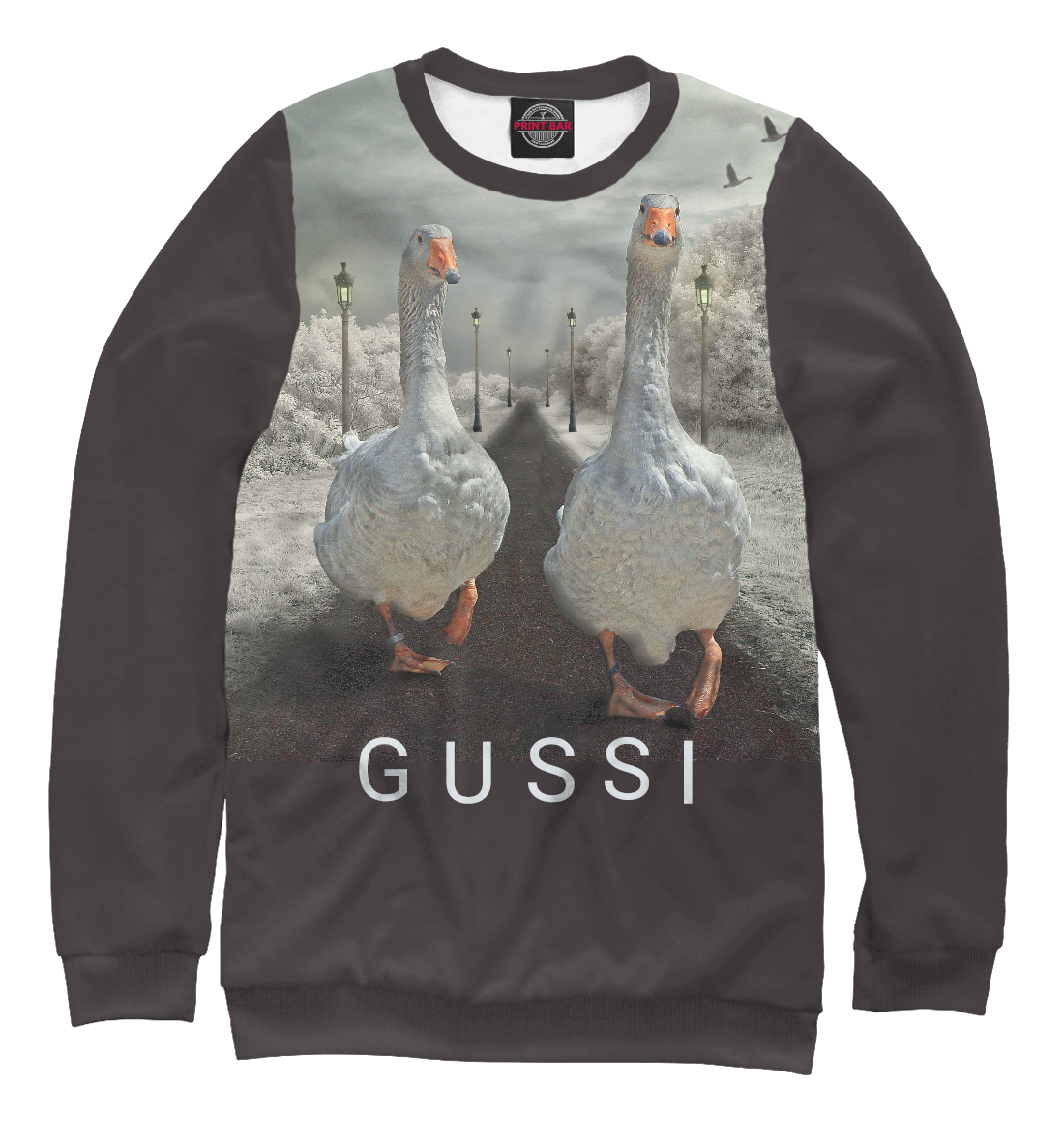 

GUSSI