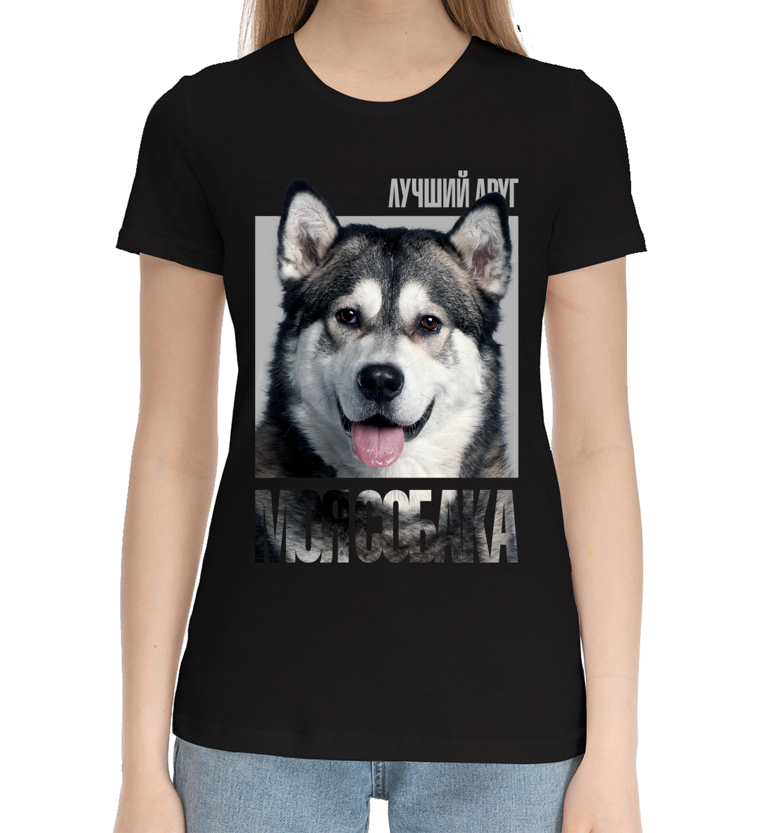 

Аляскинский маламут