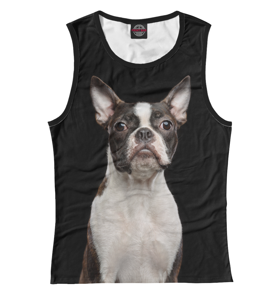 

Бостонский терьер