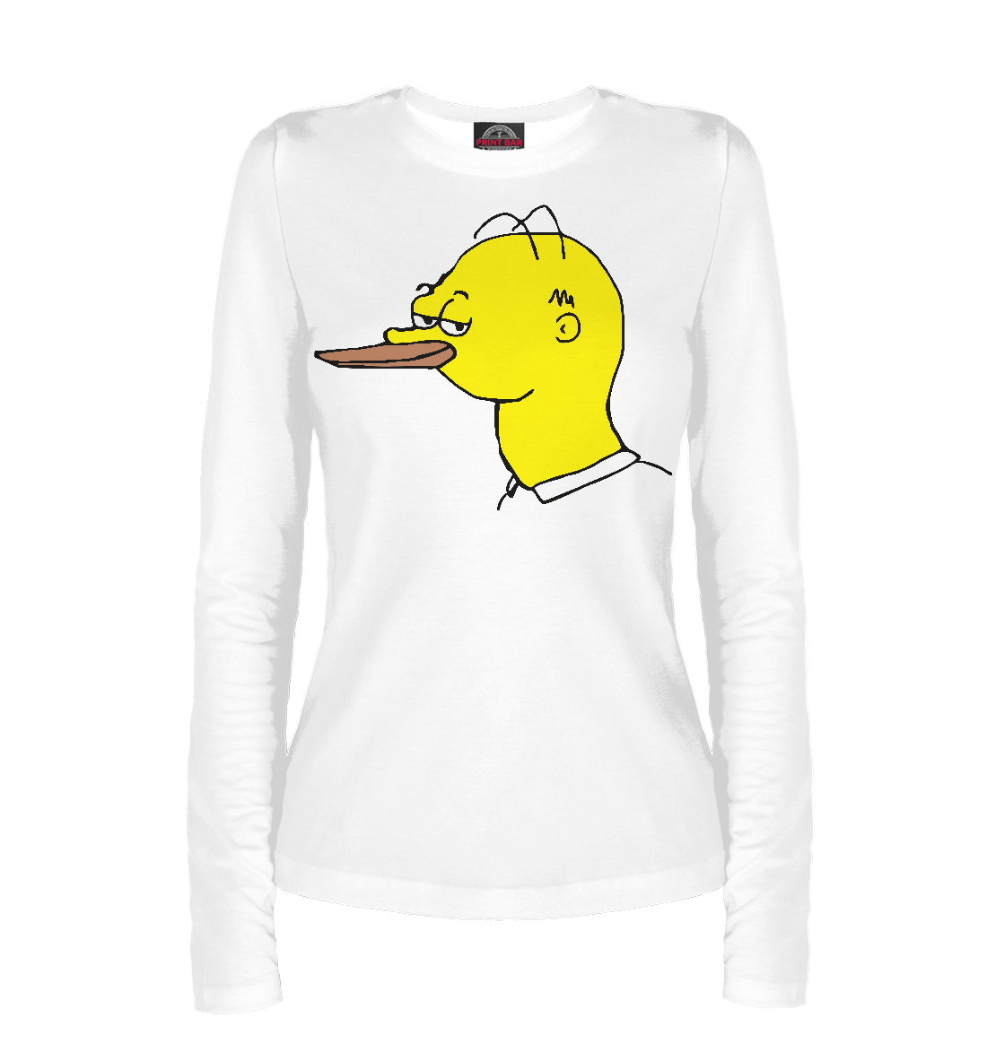 

Homer the Duck