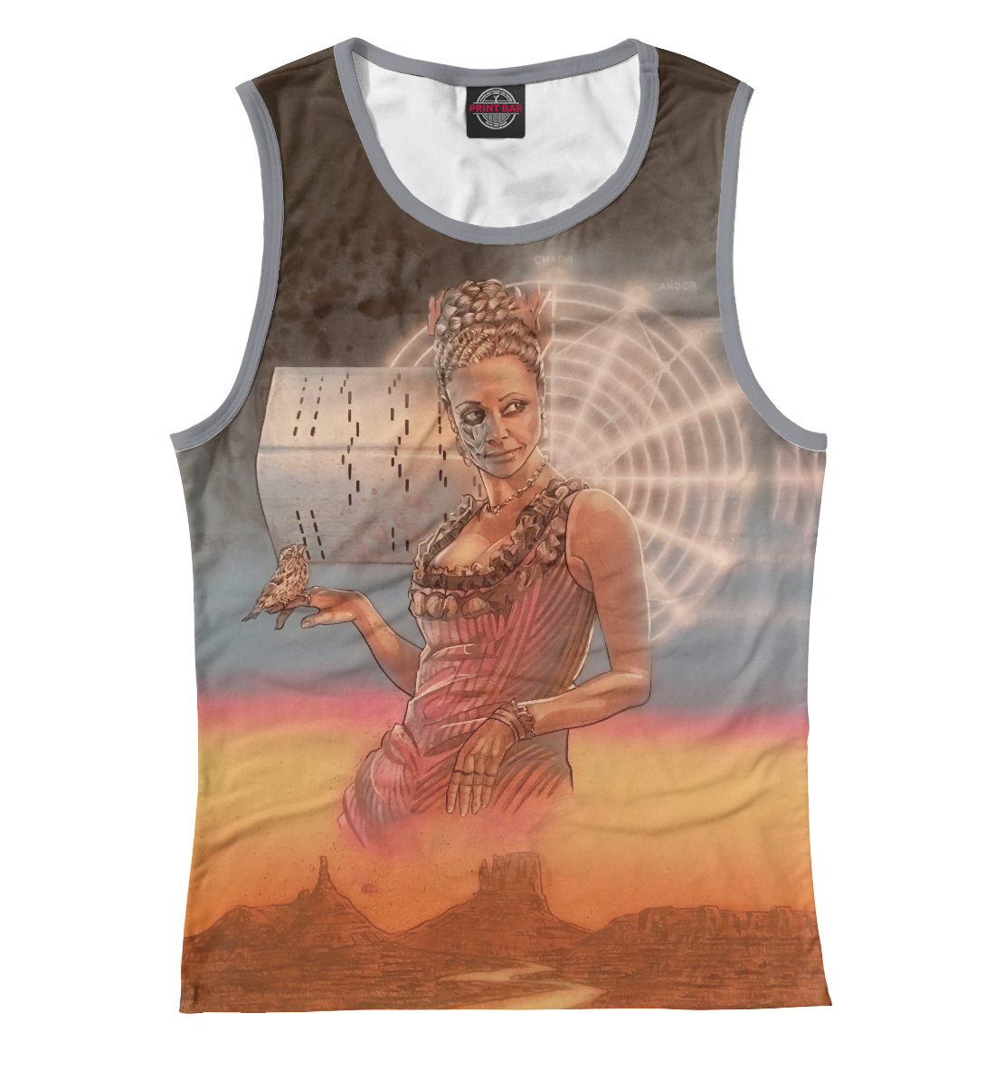 

Мир Дикого Запада