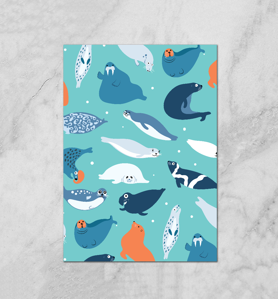 

Морские котики