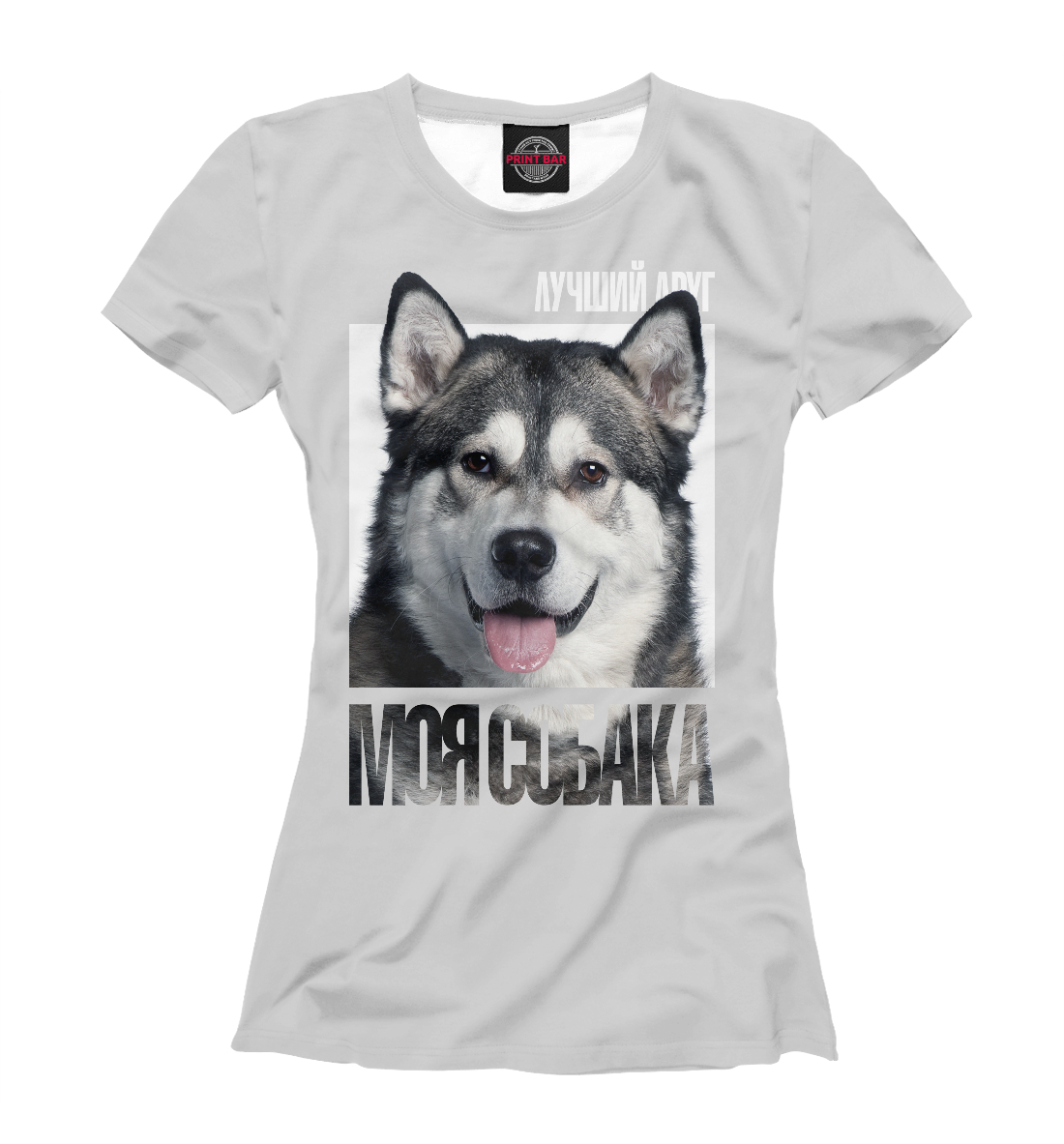 

Аляскинский маламут