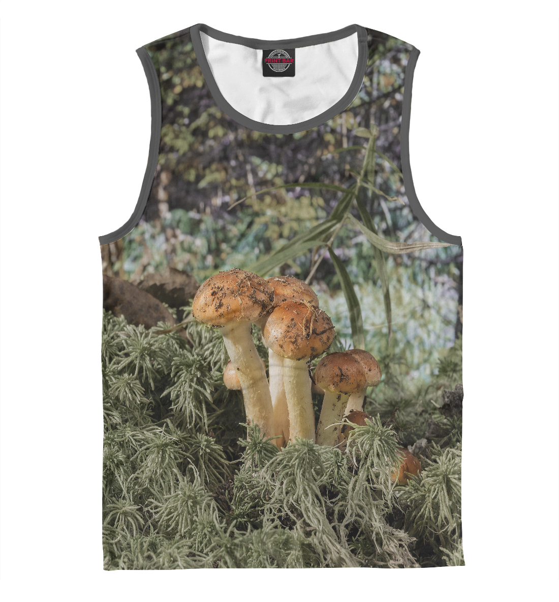 

Семейка опят на опушке леса