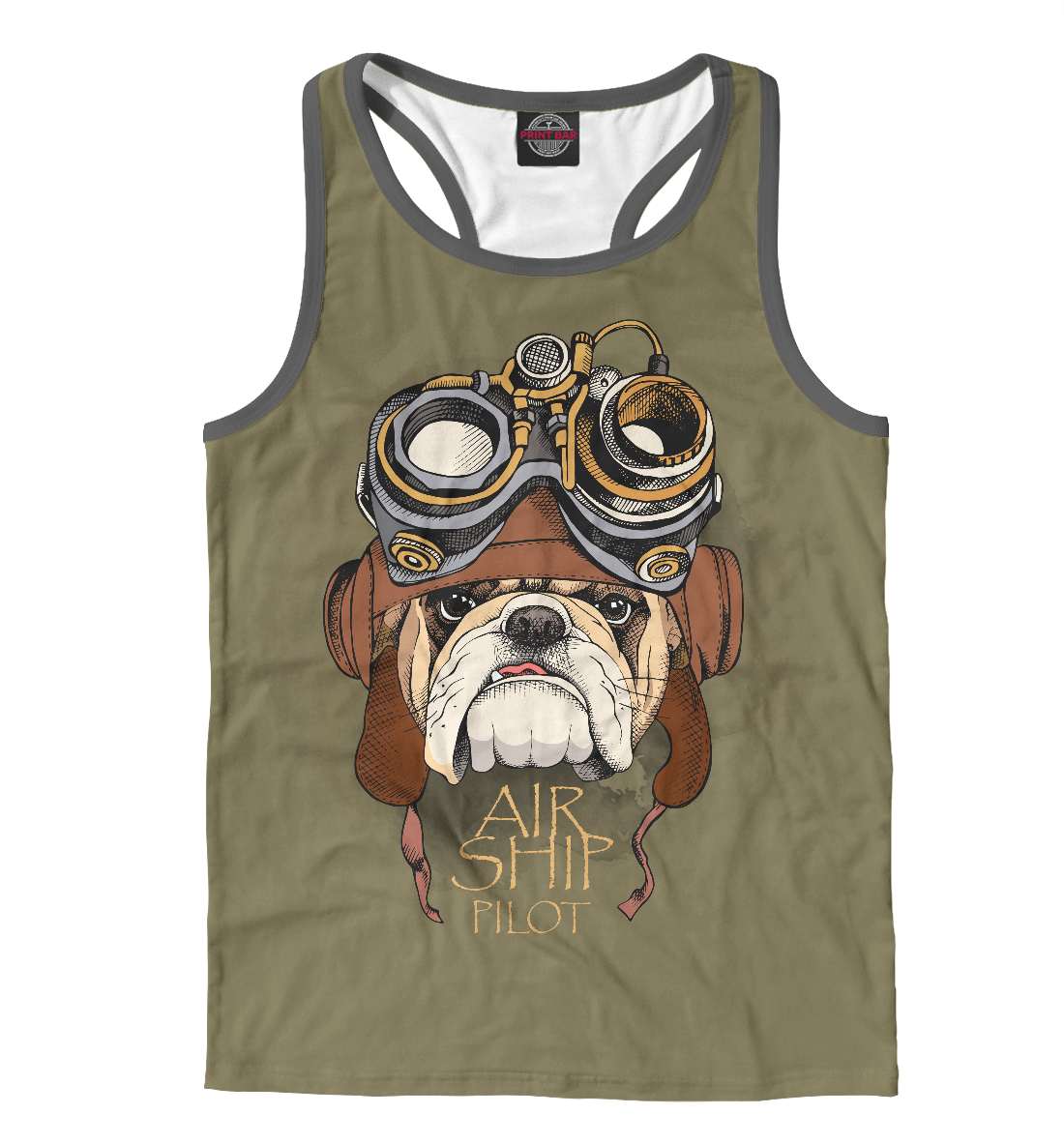 

Air ship pilot