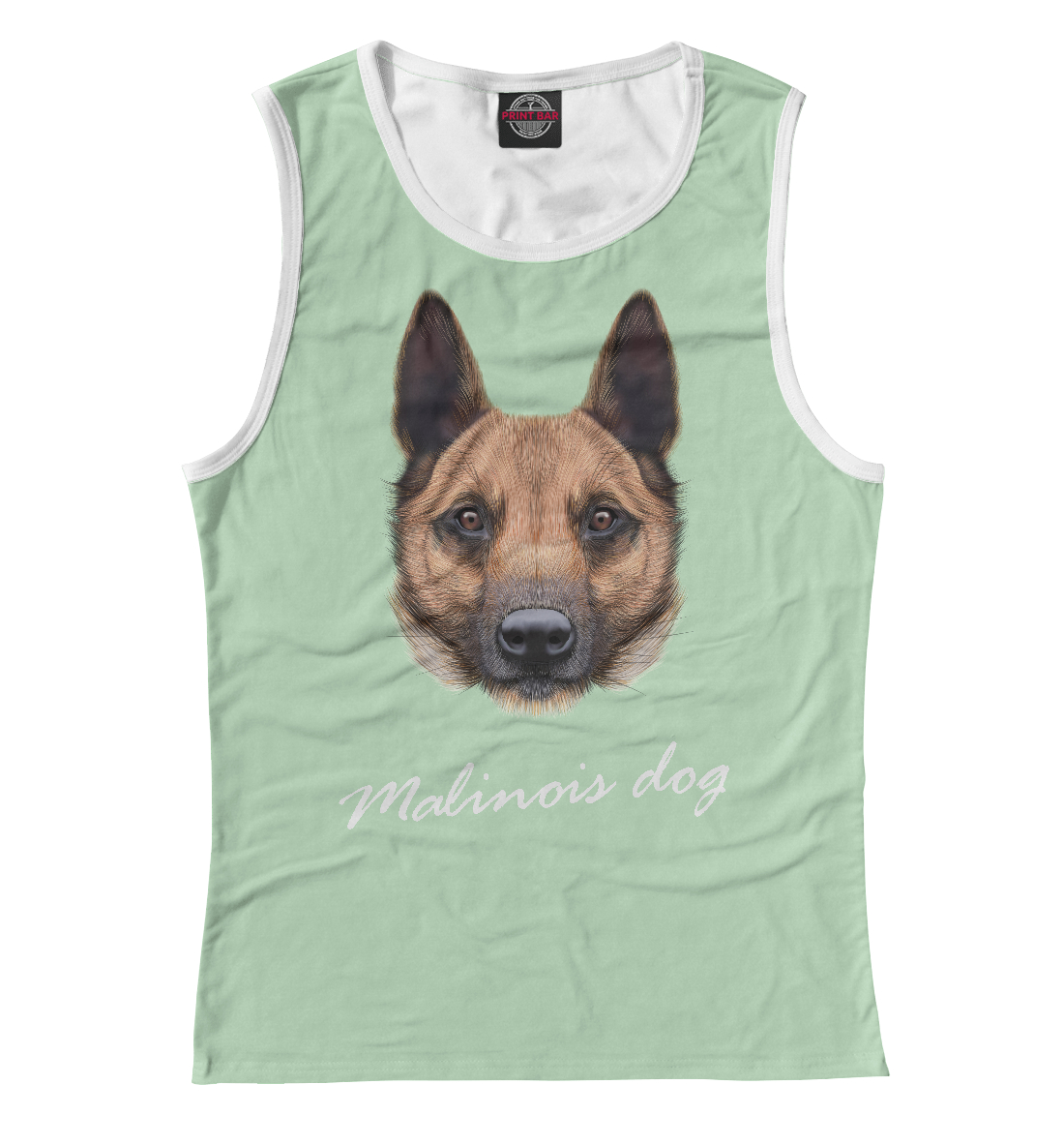 

Malinois dog