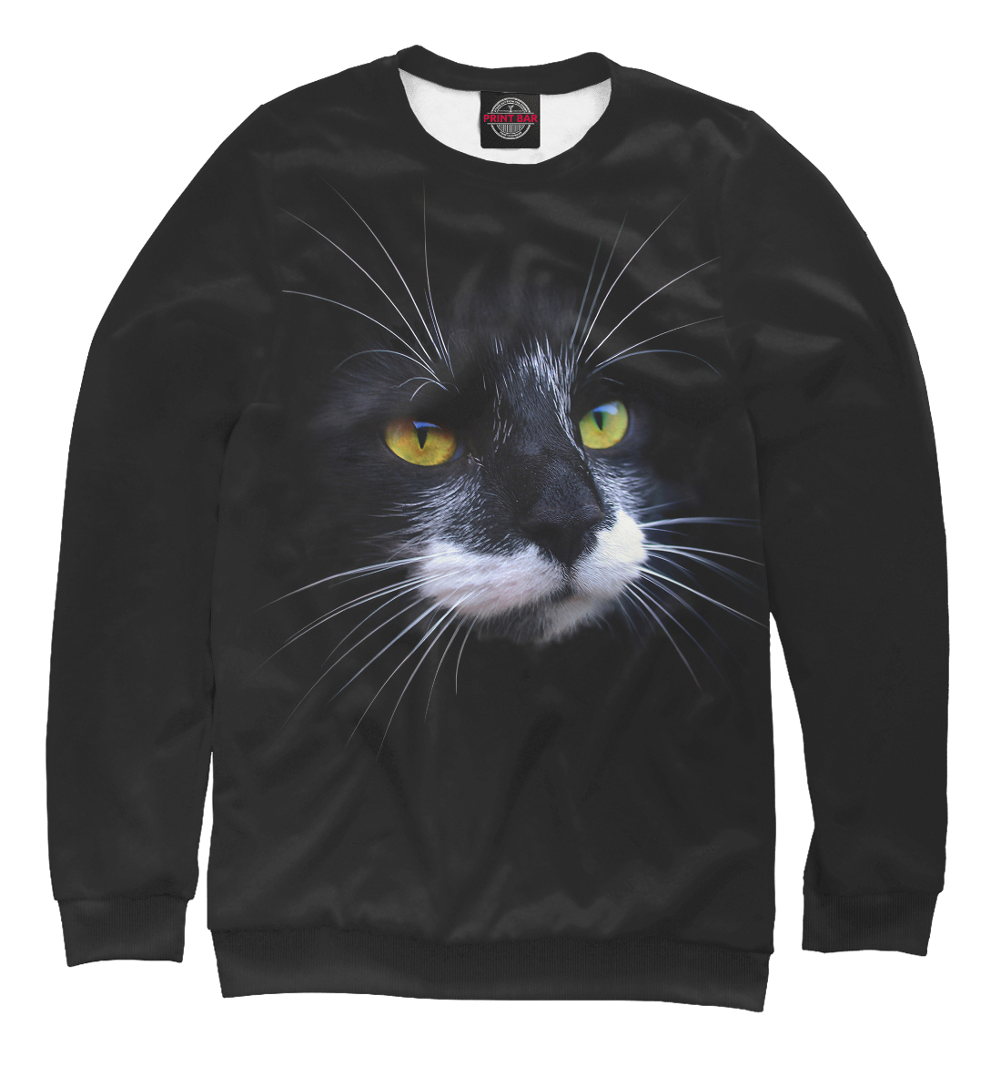 

Black cat