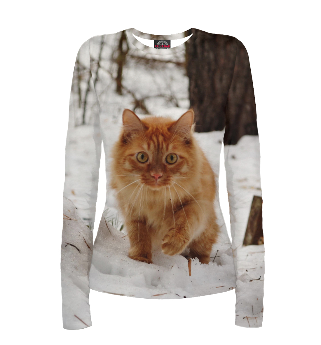 

Рыжий котенок