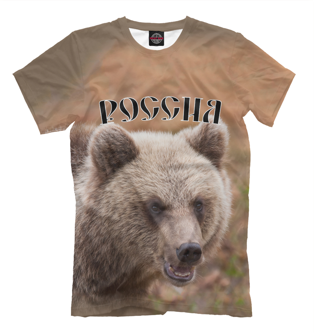 

Россия