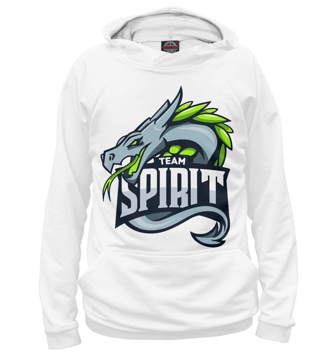 

Spirit / CS:GO Team