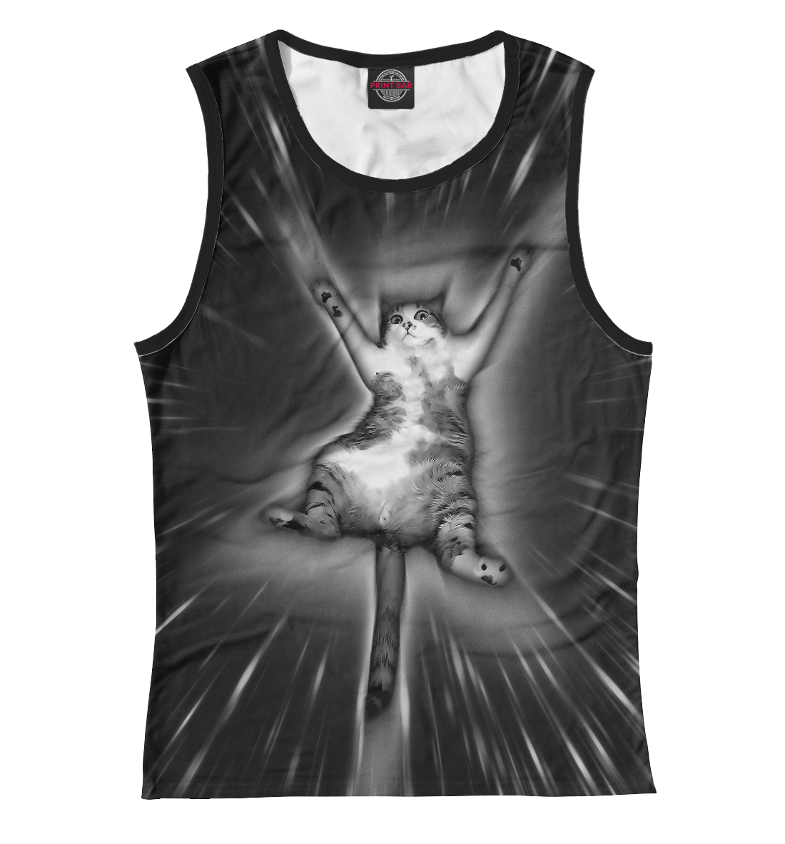 

Кот в гиперпространстве