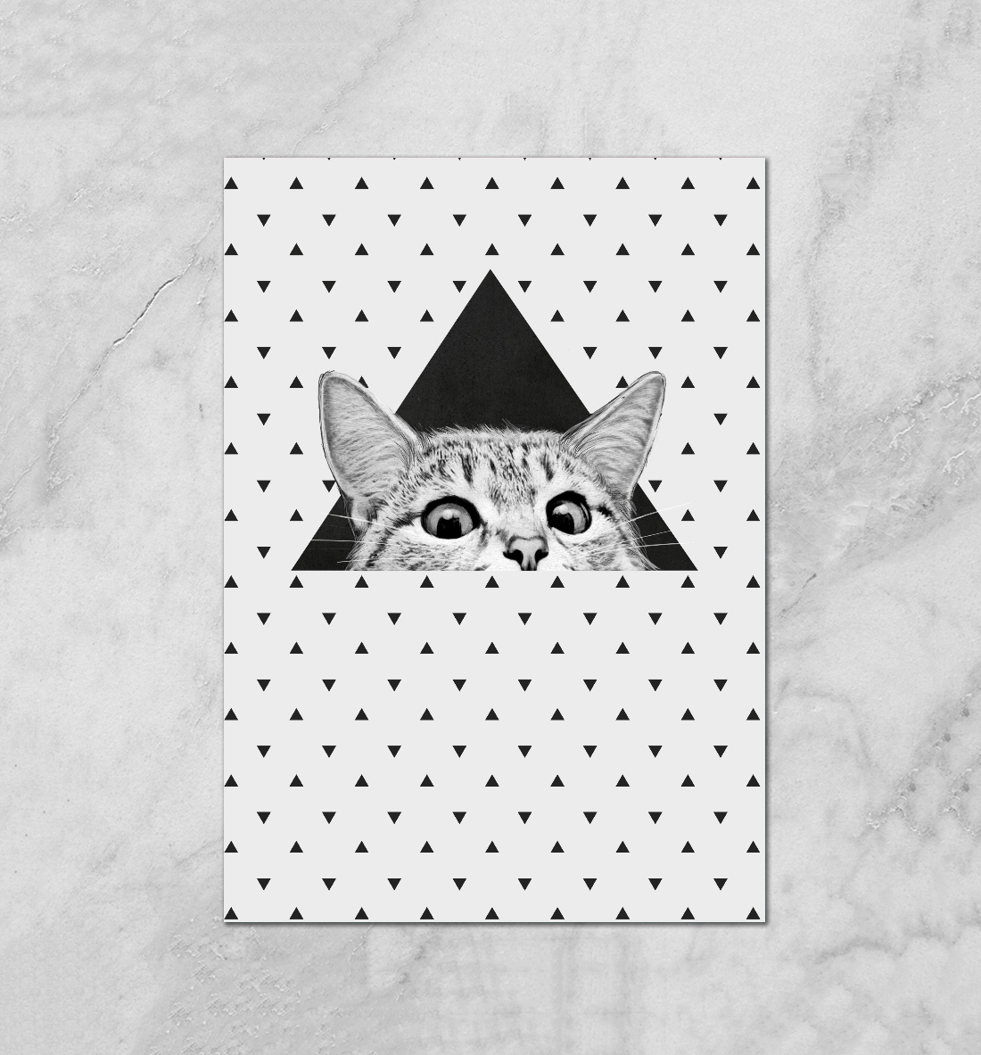 

Взгляд кота
