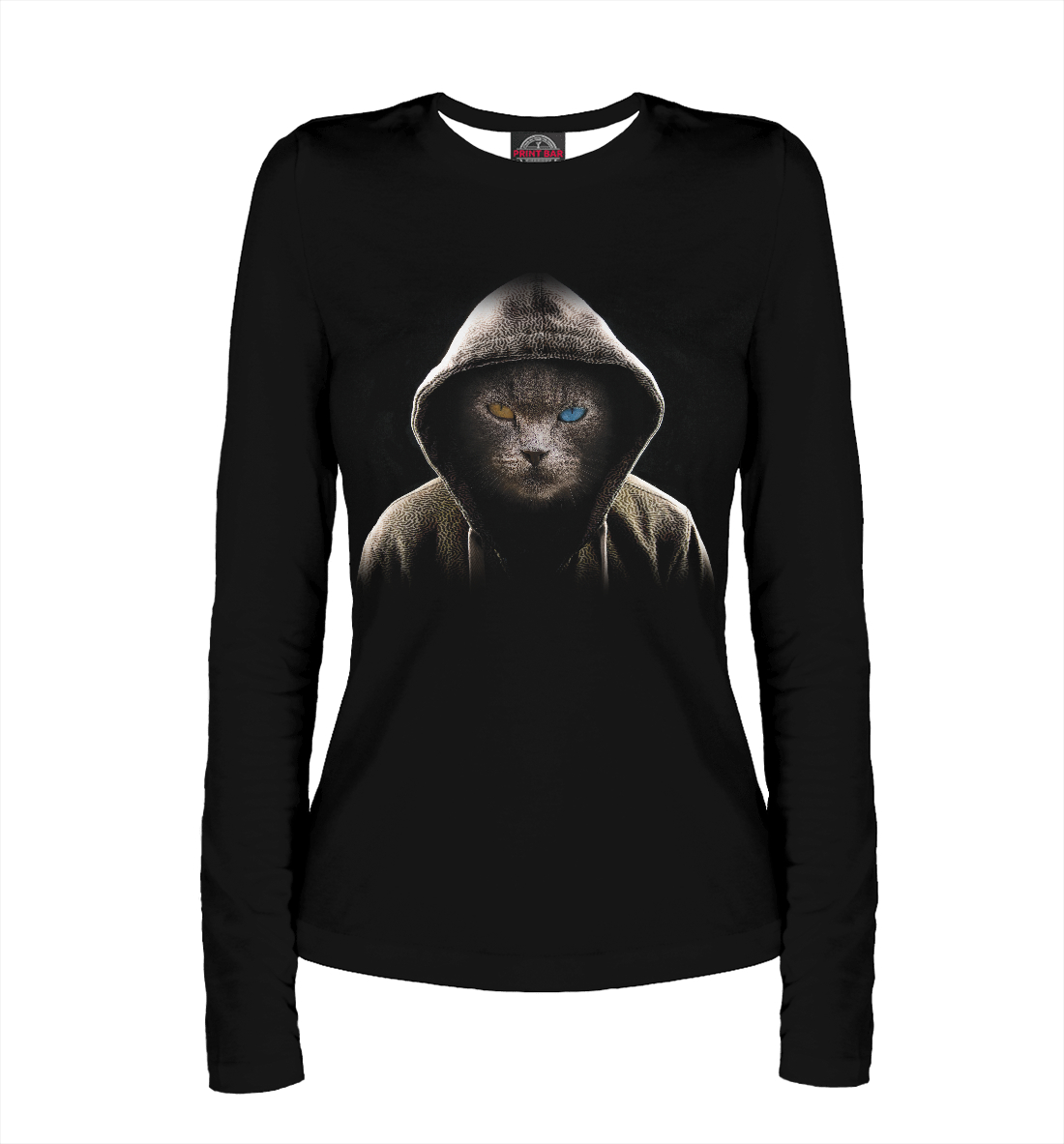 

Кот в капюшоне