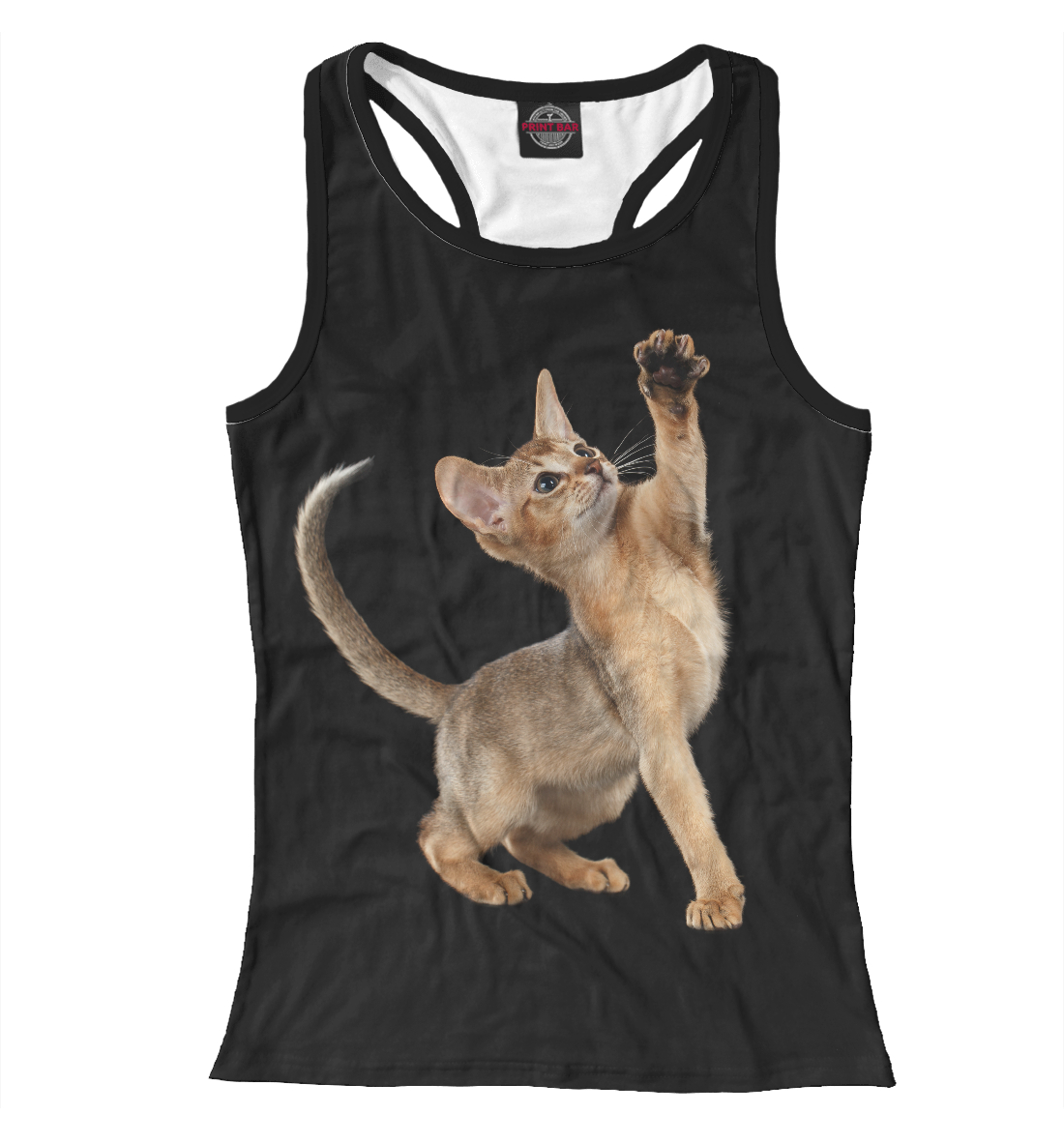 

Абиссинская котёнок